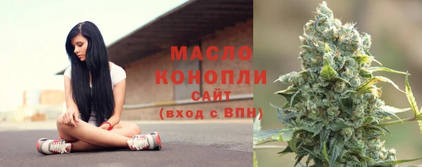 скорость Пестово