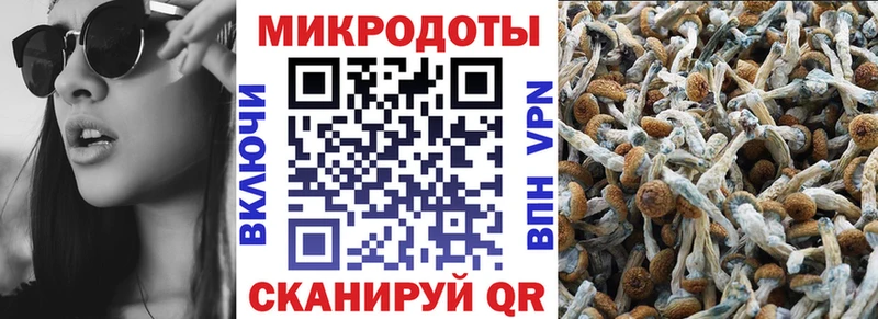 как найти   Среднеколымск  Псилоцибиновые грибы Magic Shrooms 